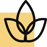 Fauna  &Flora