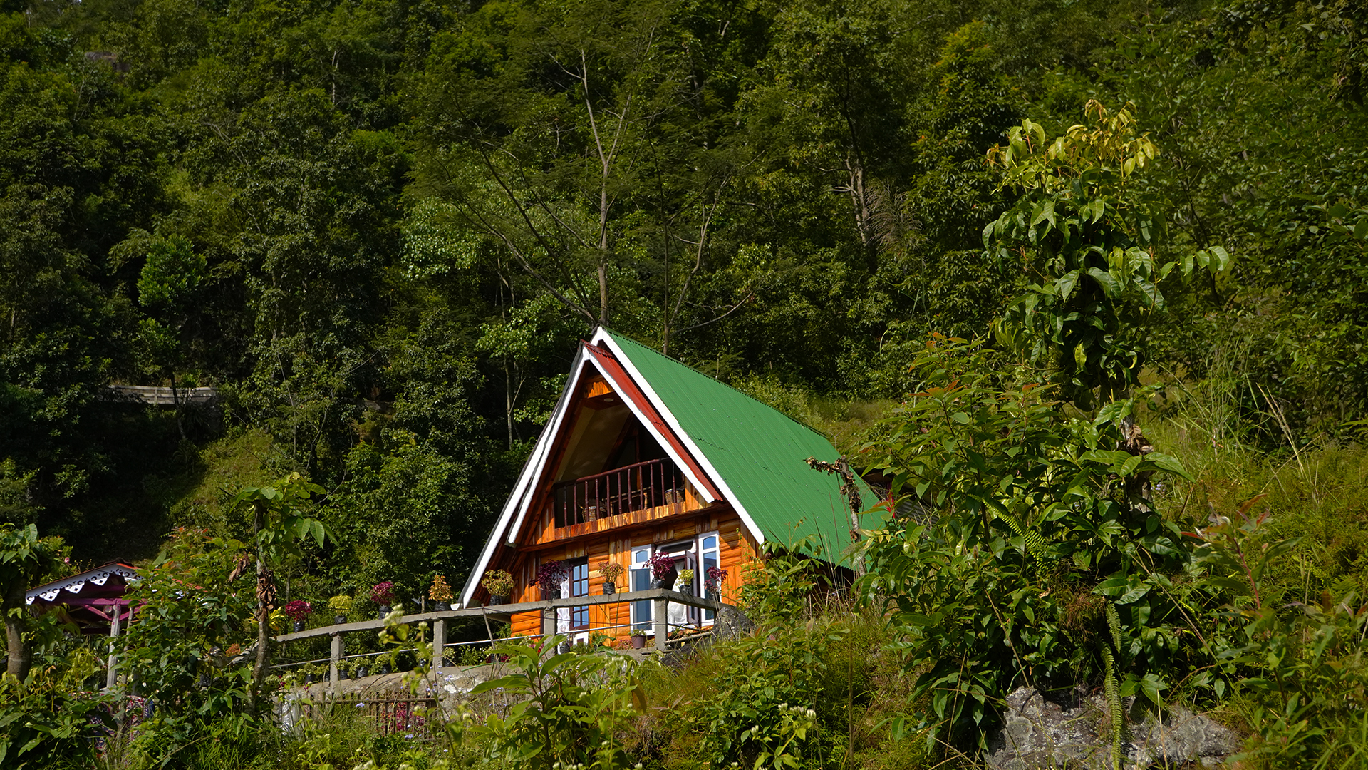 Bethsaida Homestay, Darjeeling